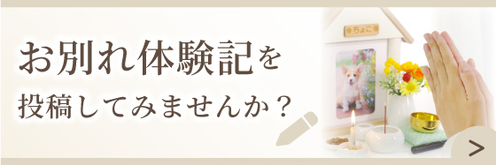 お別れ体験記を投稿してみませんか？