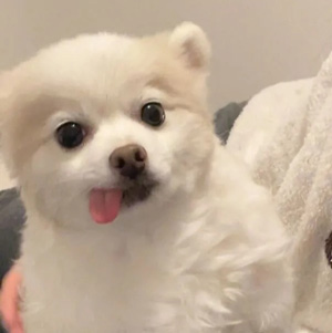 スタッフ紹介