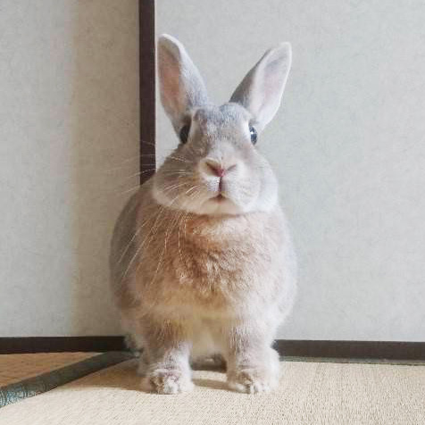 スタッフ紹介