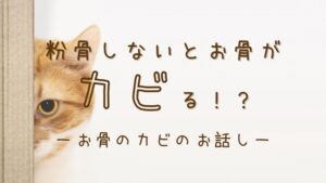 『 ペット供養Q＆A 』　粉骨しないと、ペットのお骨はカビる！？　実際のところ、どうなの？