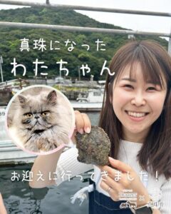 スタッフの愛猫わたちゃんのお迎えに行ってきました！①　－お骨が真珠に生まれ変わる、真珠葬－