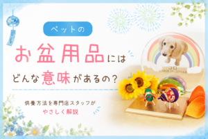 ペットのお盆用品にはどんな意味があるの？｜盆提灯・精霊馬・白紋天をやさしく解説