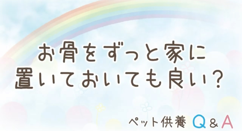 ペットのお骨は家に置いておいてもいいの？／ペット供養Q&A