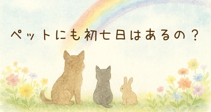ペットにも初七日はあるの？法要や数え方、心を込めた供養の方法