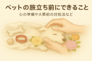 愛するペットとの最後の時間 -火葬前にできる7つの大切なこと-