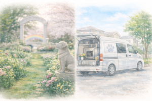 ペット火葬の選び方｜後悔しないためのチェックリスト完全版