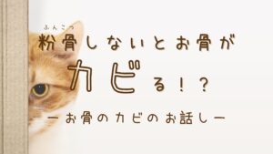 その「粉骨」、本当に必要？カビが怖いあなたに知ってほしいこと