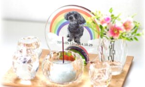 ペット位牌の開眼供養とは？写真入り位牌にも必要？供養の考え方と方法を解説