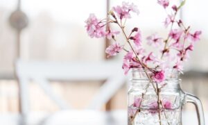 ペットのお悔やみ メッセージは何を書く？文例集