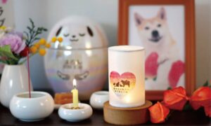 ペットのお盆、どう迎える？どう過ごす？