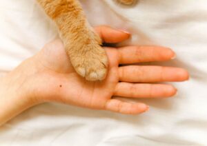 「今日はきみの大切な日」　うちの子の一周忌に寄せて思うこと
