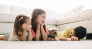【東京都杉並区】愛犬が亡くなったときの手続き｜やさしくご案内します