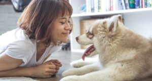 ペットが亡くなったときの手続き｜神奈川県相模原市で必要なことをご案内します