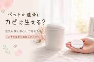 ペットの遺骨にカビは生える？湿気対策と安心して守る方法｜お骨の保管と溶岩石のお守り
