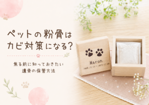 ペットの粉骨はカビ対策になる？焦る前に知っておきたい遺骨の保管方法