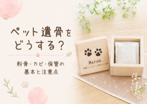 ペット遺骨をどうする？粉骨・カビ・保管の基本と注意点